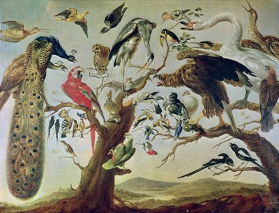 Het concert van de vogels door Frans Snyders or Snijders